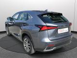 Lexus Nx 300h Hybrid 4wd Premium Certificata Ufficiale Italia usata — vista posteriore (3/36)