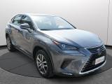 Lexus Nx 300h Hybrid 4wd Premium Certificata Ufficiale Italia usata — foto 17 (17/36)