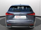 Lexus Nx 300h Hybrid 4wd Premium Certificata Ufficiale Italia usata — interni (4/36)