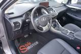 Lexus Nx 300h Hybrid 4wd Premium Certificata Ufficiale Italia usata — sedili (6/36)