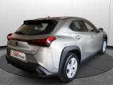 Lexus Ux 250h Business Full Hybrid Certificata Pari Al Nuovo usata — foto 17 (17/33)