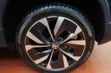 Skoda Karoq 2.0 Tdi Evo Scr 115 Cv Dsg Style usata — foto 44 (44/44)
