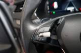 Skoda Octavia 2.0 Tdi Evo Scr Dsg Wagon Executive usata — foto 32 (32/43)