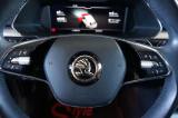 Skoda Superb 2.0 Tdi Evo 122 Cv Scr Dsg Wagon Executive usata — foto 32 (32/37)