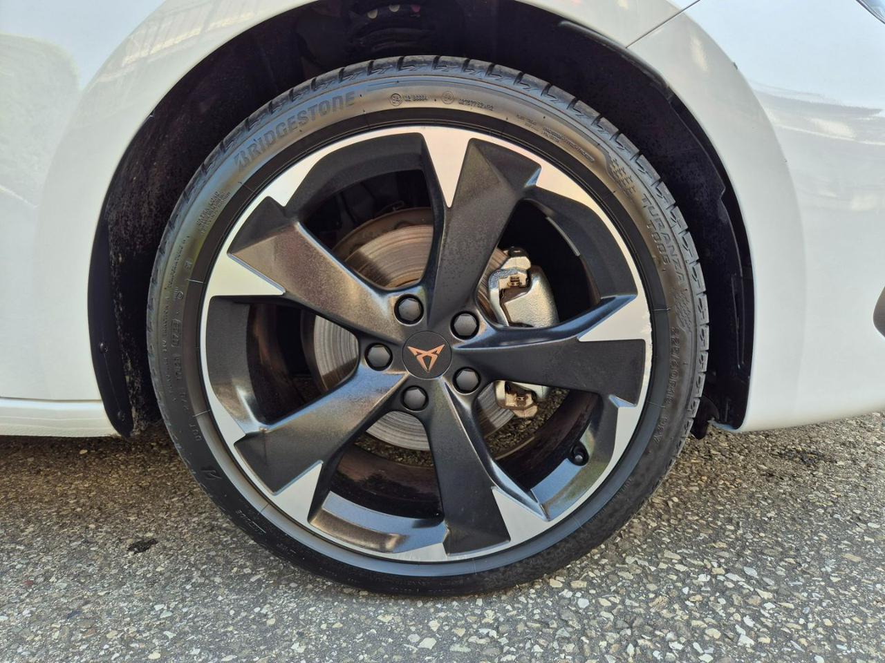 CUPRA Leon 2.0 TDI 150 CV DSG - 14