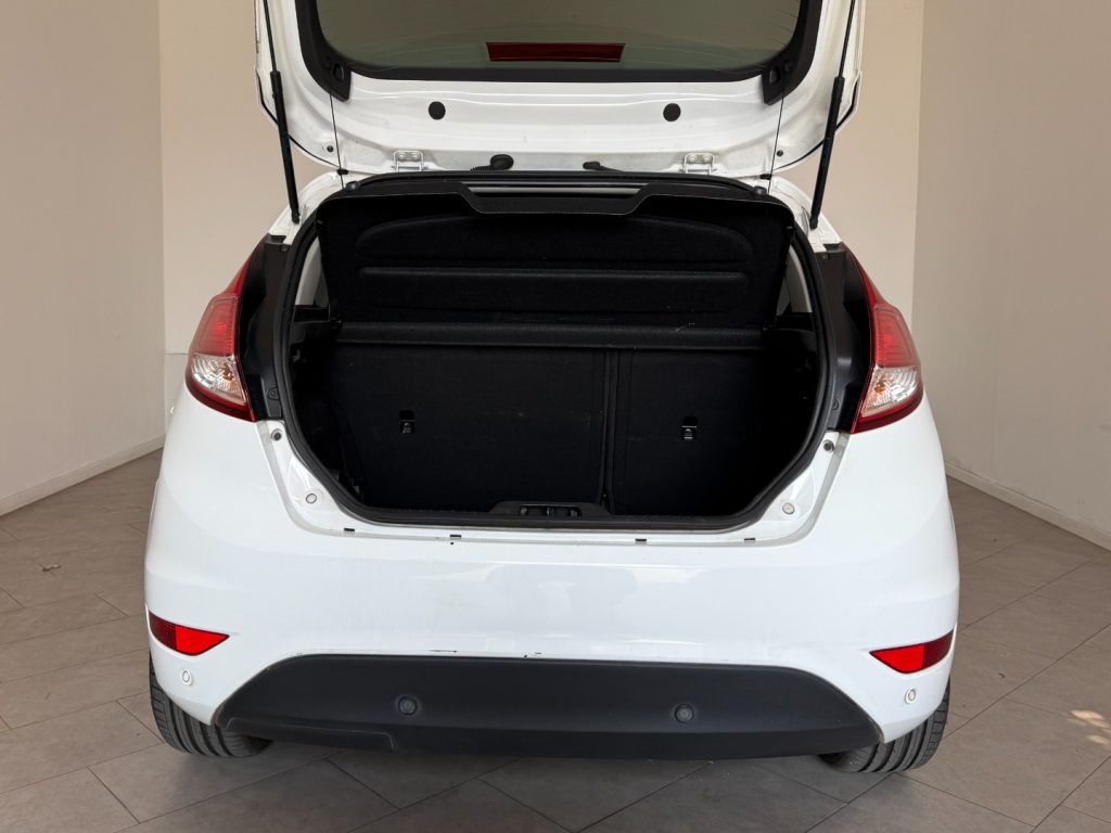 FORD Fiesta 1.0 EcoBoost 100CV 5 porte Black & White Edition - 11