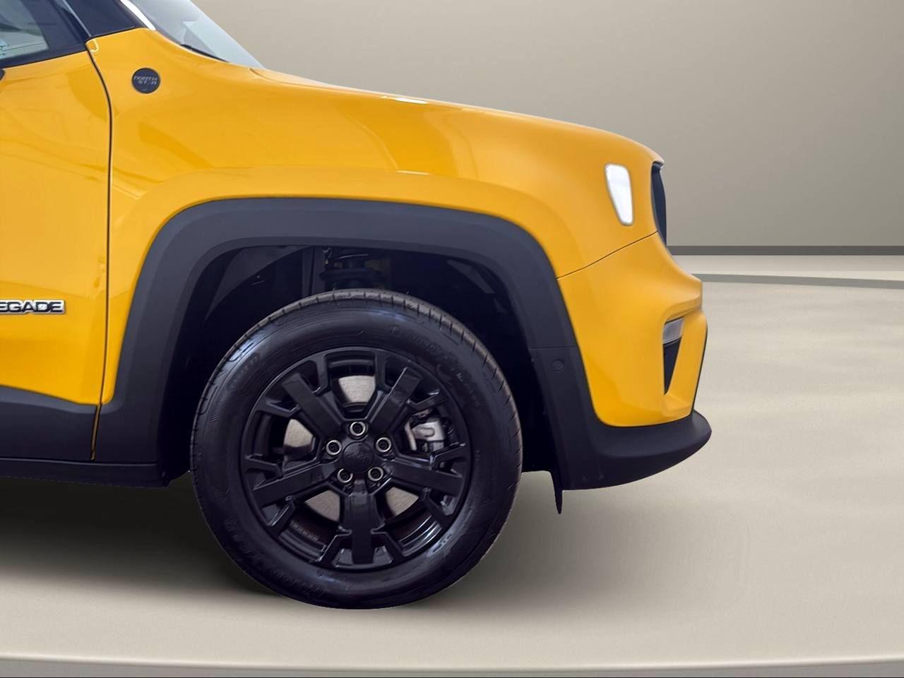 JEEP Renegade 1.3 T4 240 CV PHEV 4xe AT6 North Star - 48