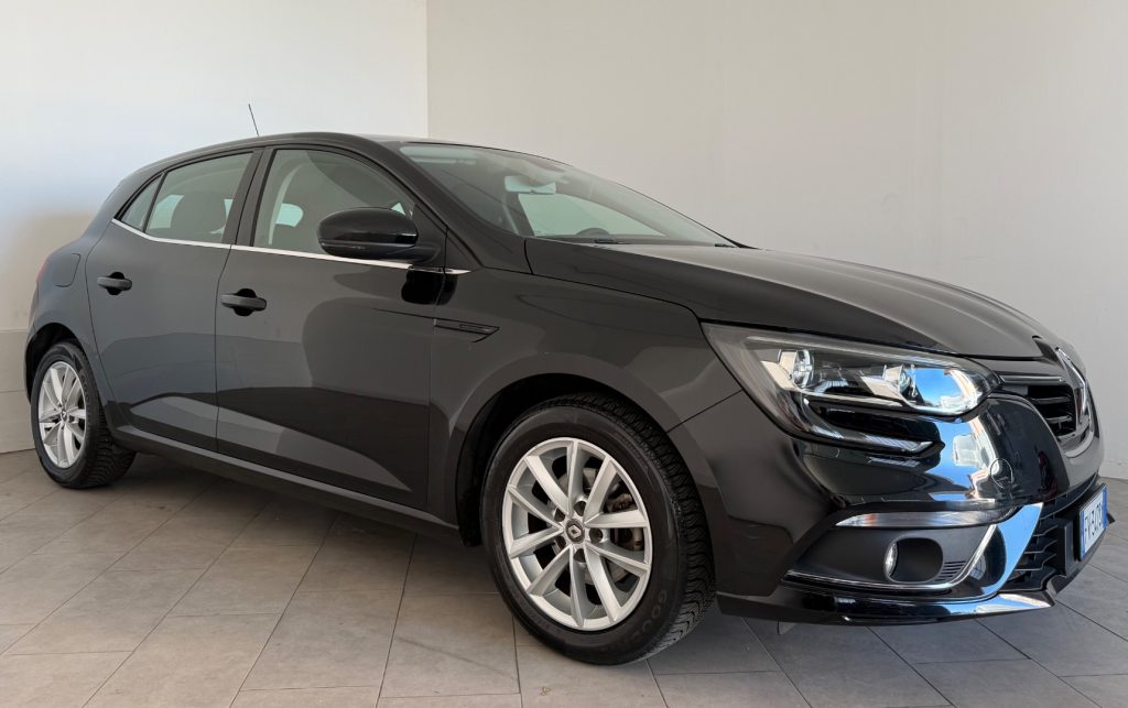 RENAULT Megane Mégane Sporter TCe 115 CV FAP Business - 3
