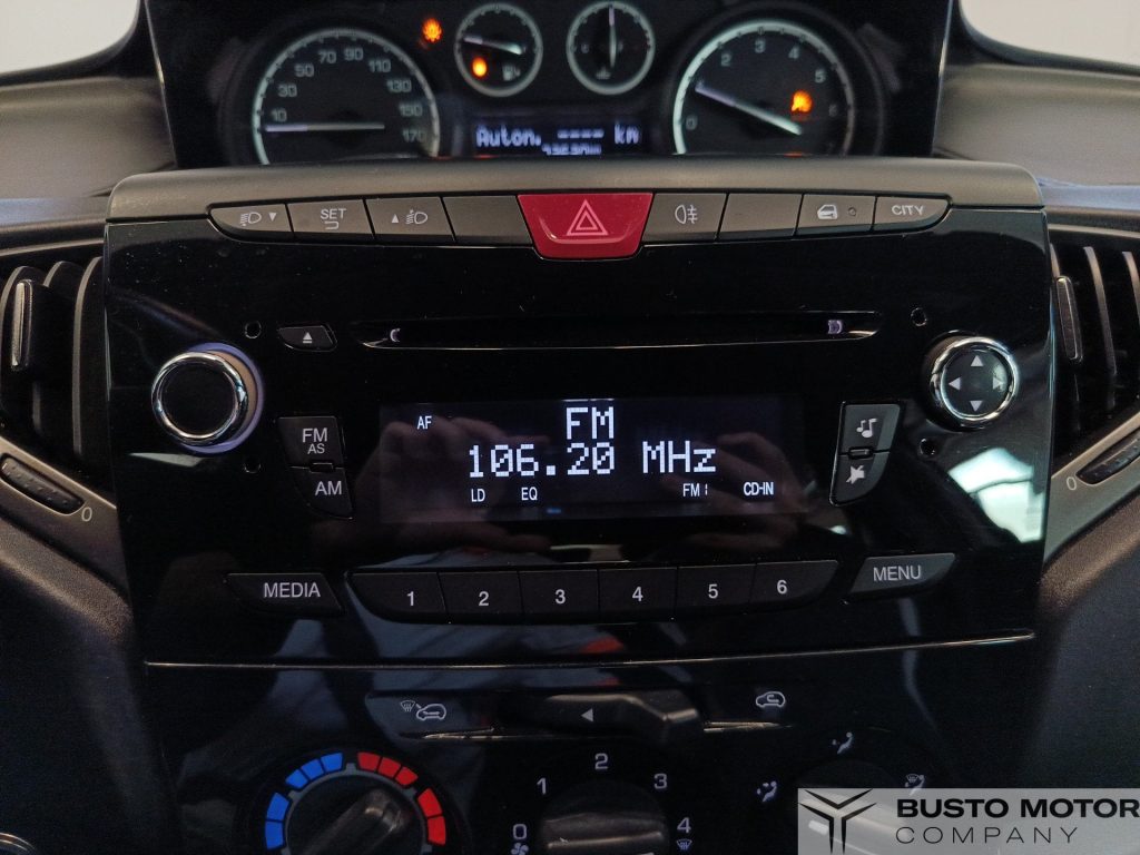 LANCIA Ypsilon Ypsilon 1.2 8v Gold c/CL 69cv E6 - 13