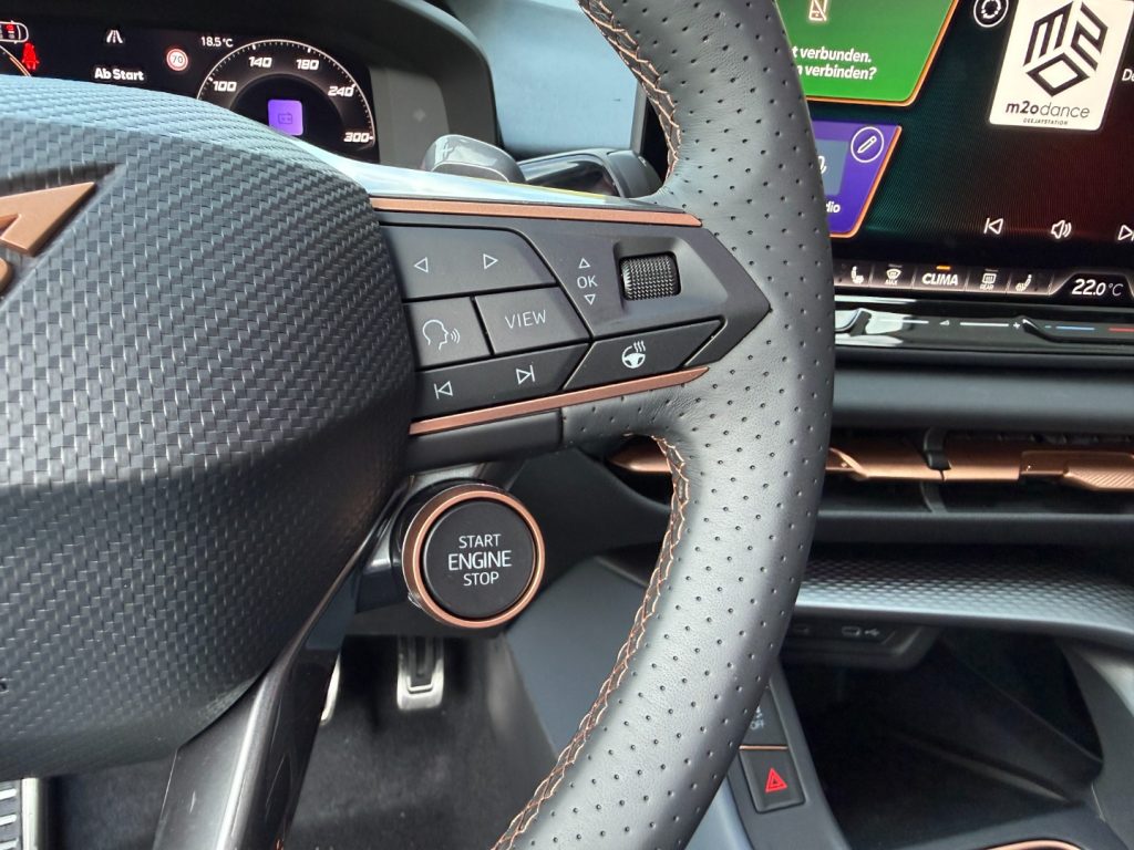 CUPRA Terramar 2.0 TSI 4Drive VZ GANCIO Camera App Connect LED - 12