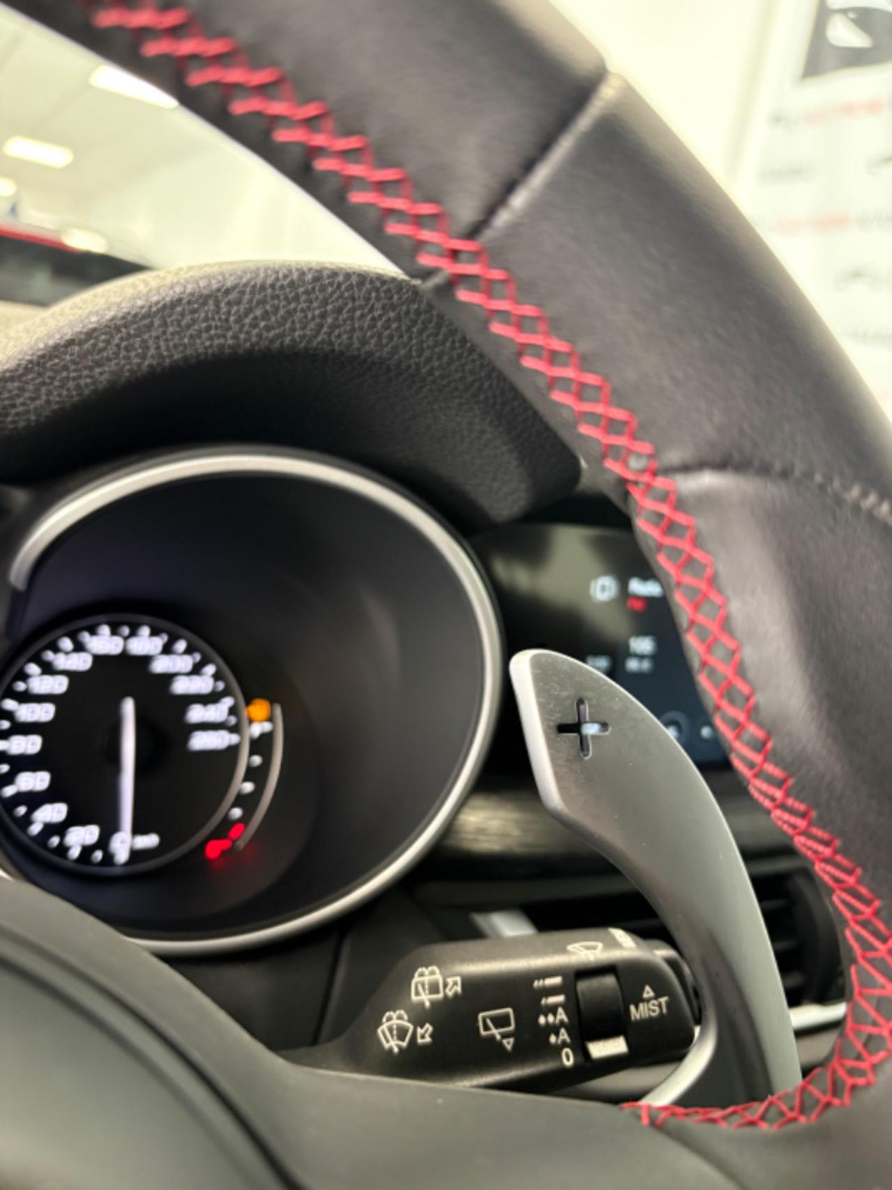 ALFA ROMEO Stelvio 2.2 Turbodiesel 190 CV AT8 Q4 ,Solo 17000 KM ! - 9