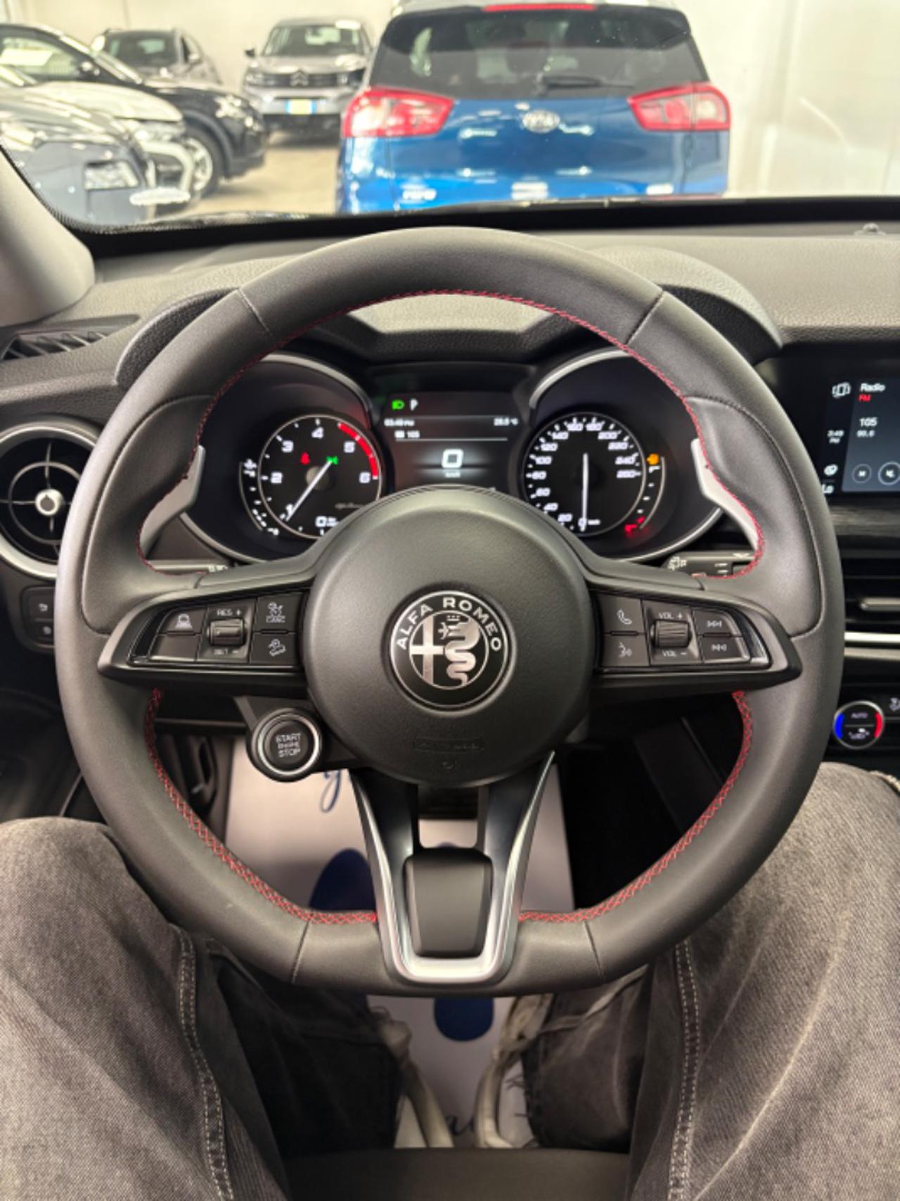 ALFA ROMEO Stelvio 2.2 Turbodiesel 190 CV AT8 Q4 ,Solo 17000 KM ! - 8