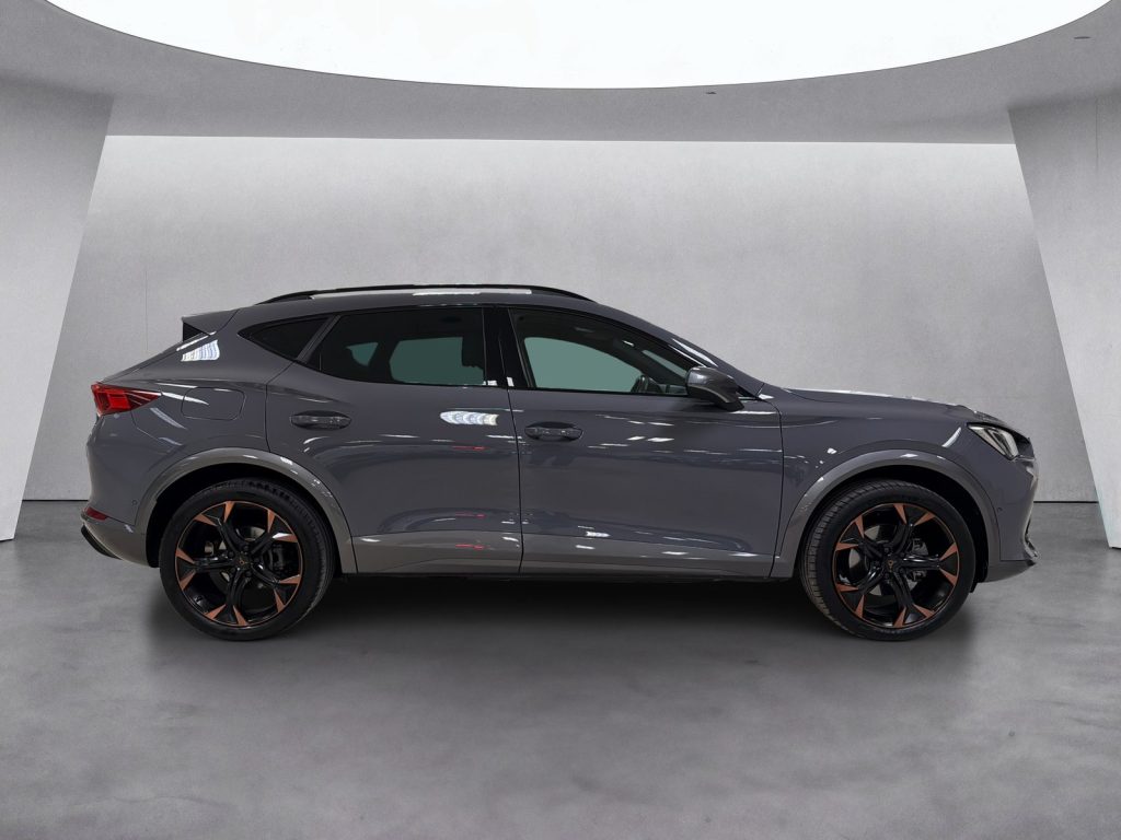 CUPRA Formentor 1.4 e-hybrid 204cv dsg - 3