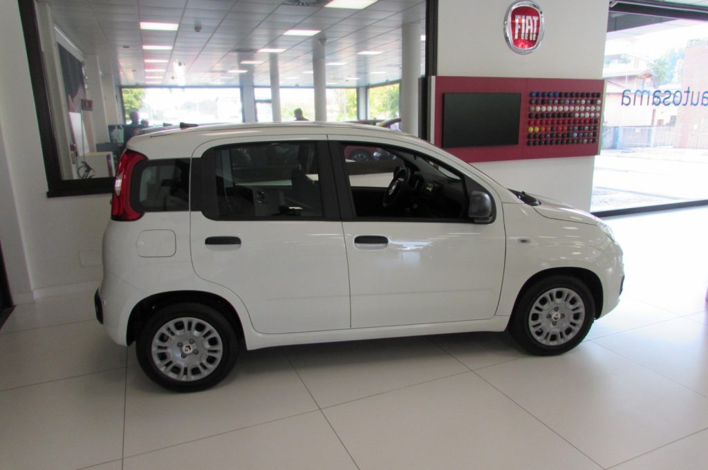 FIAT Panda 1.0 FireFly 70cv S&S Hybrid ICON KMZERO - 3