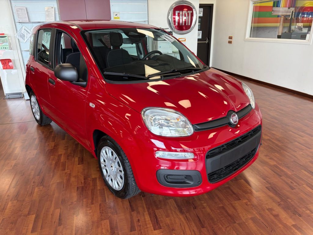 FIAT Panda 1.0 FireFly 70cv S&S Hybrid ICON KMZERO - 3