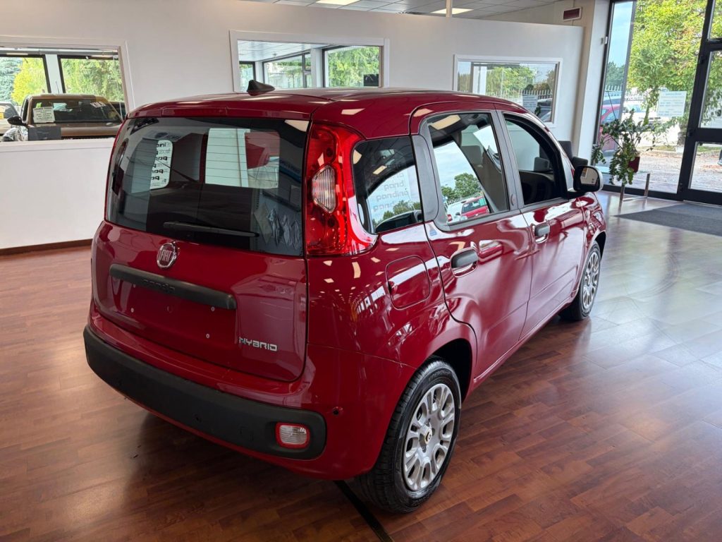 FIAT Panda 1.0 FireFly 70cv S&S Hybrid ICON KMZERO - 4