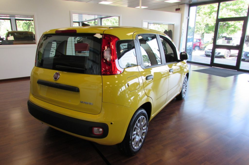 FIAT Panda 1.0 FireFly 70cv S&S Hybrid ICON KMZERO - 4