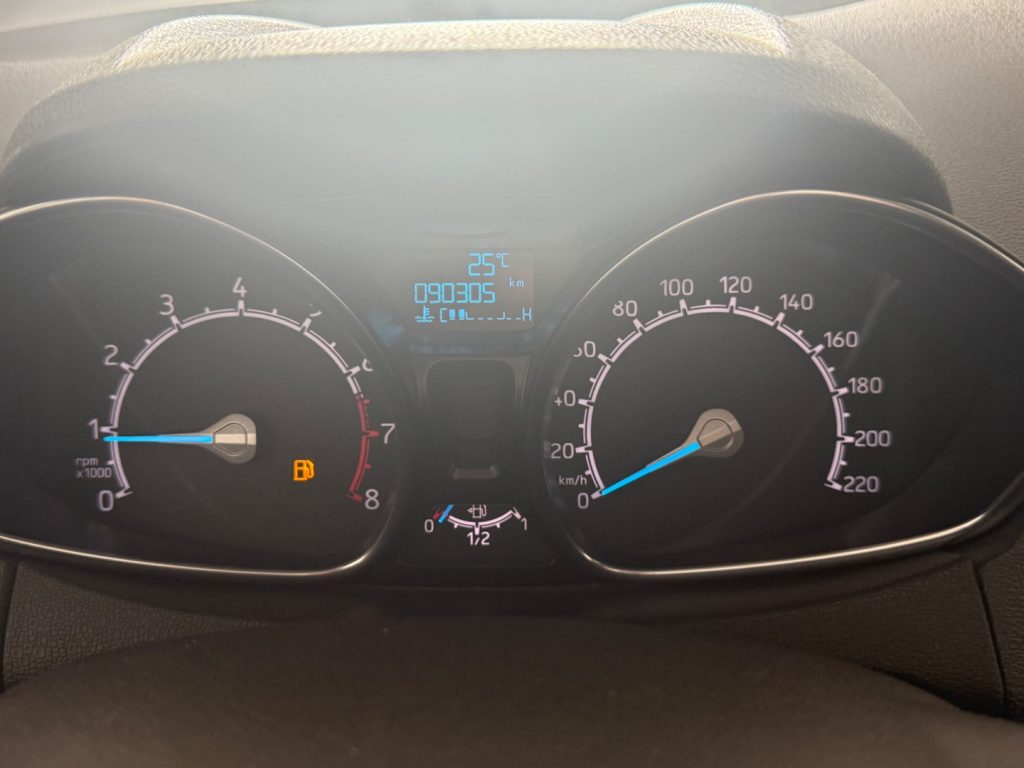 FORD EcoSport 1.0 EcoBoost 125 CV Business - 22