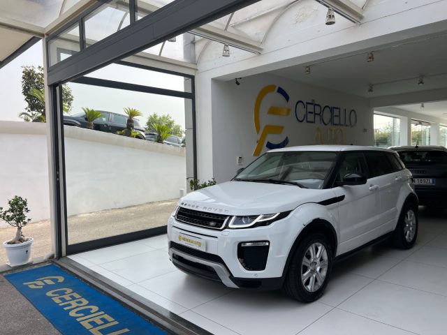 LAND ROVER Range Rover Evoque Bianco metallizzato