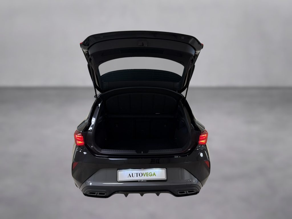 CUPRA Leon 2.0 tdi 150cv dsg - 17