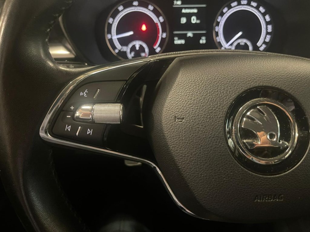 SKODA Fabia 1.0 TSI EVO Ambition C/GRIMALDI SPECIAL DAY - 19
