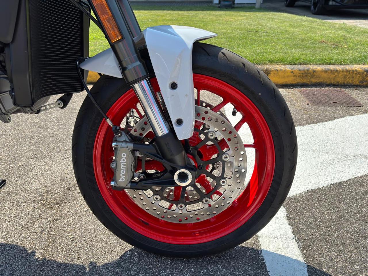 DUCATI Monster 937 V2 PLUS ICEBERG 2026 - 3