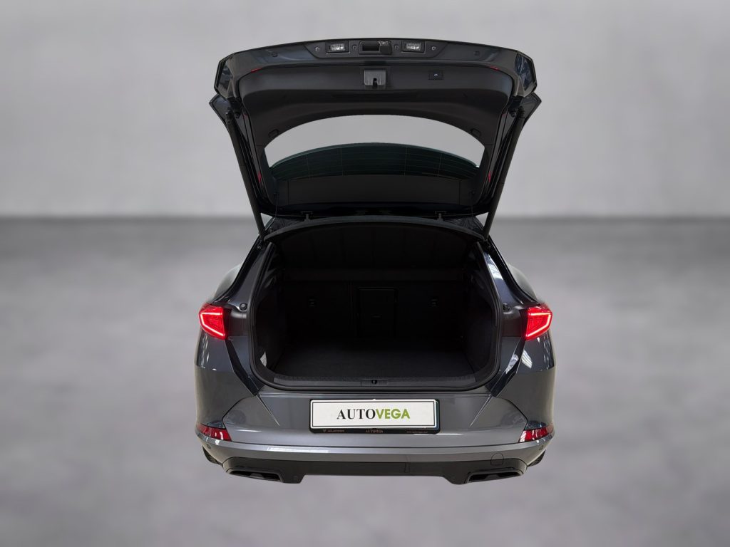 CUPRA Formentor 1.5 tsi 150cv dsg - 17