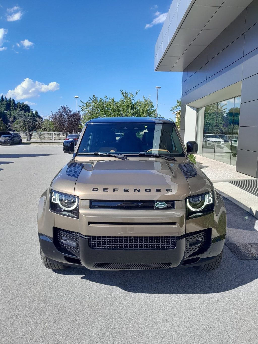 LAND ROVER Defender 3.0D I6 250 110 X-Dynamic SE AWD auto. - 2