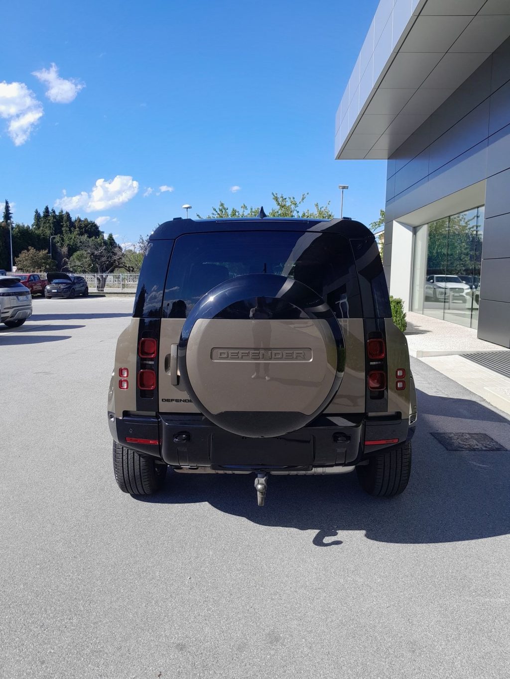 LAND ROVER Defender 3.0D I6 250 110 X-Dynamic SE AWD auto. - 7