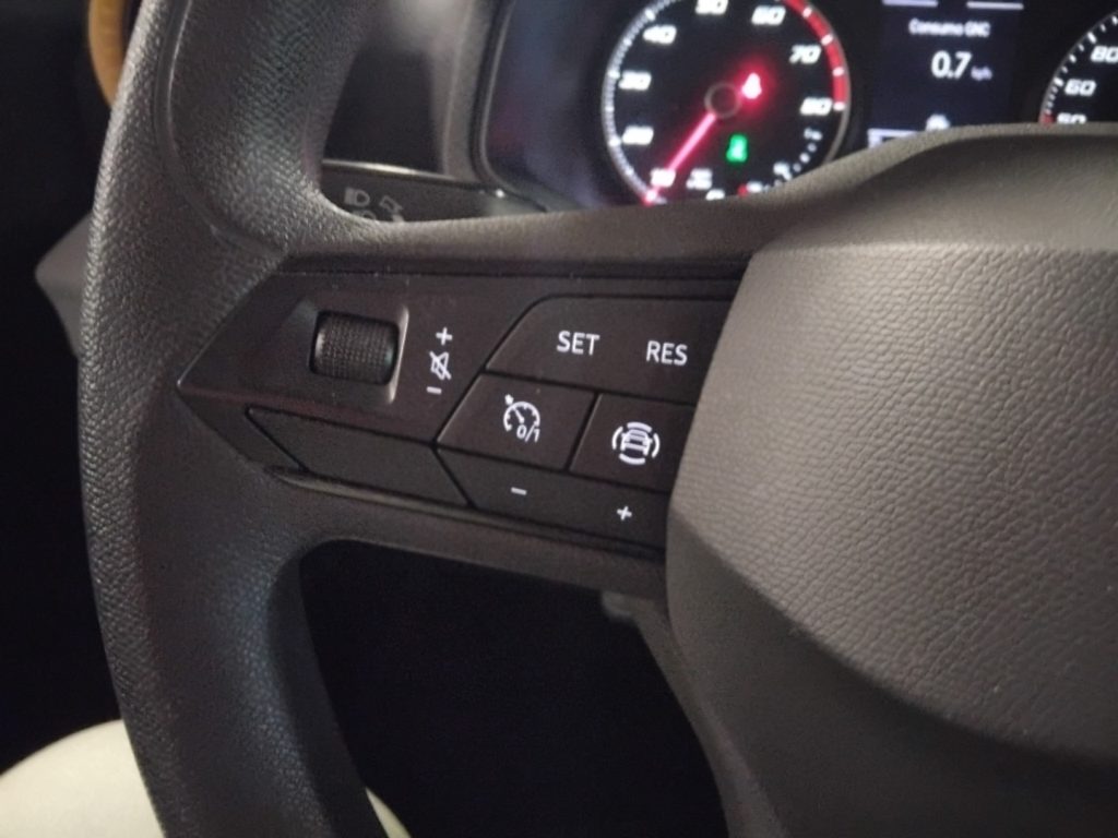 SEAT Arona 1.0 TGI Reference C/GRIMALDI SPECIAL DAY - 22