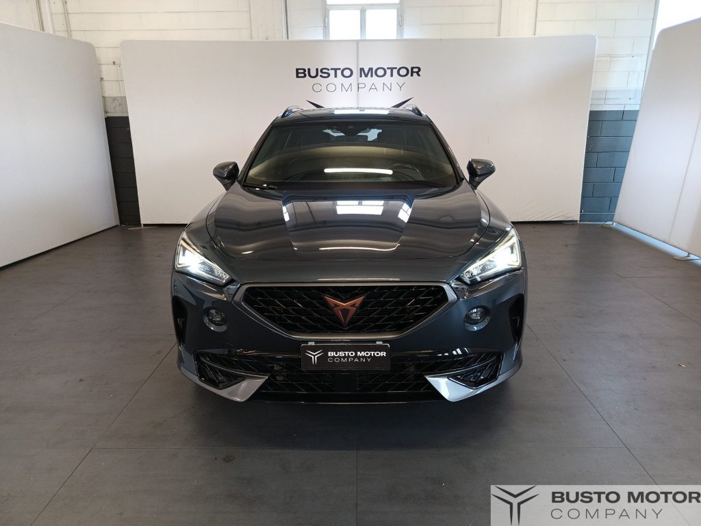 CUPRA Formentor Formentor 2.0 tdi 150cv - 2