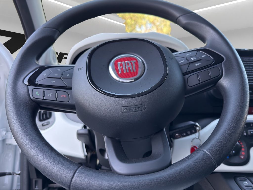 FIAT Panda Cross 1.0 FireFly S&S Hybrid - 10