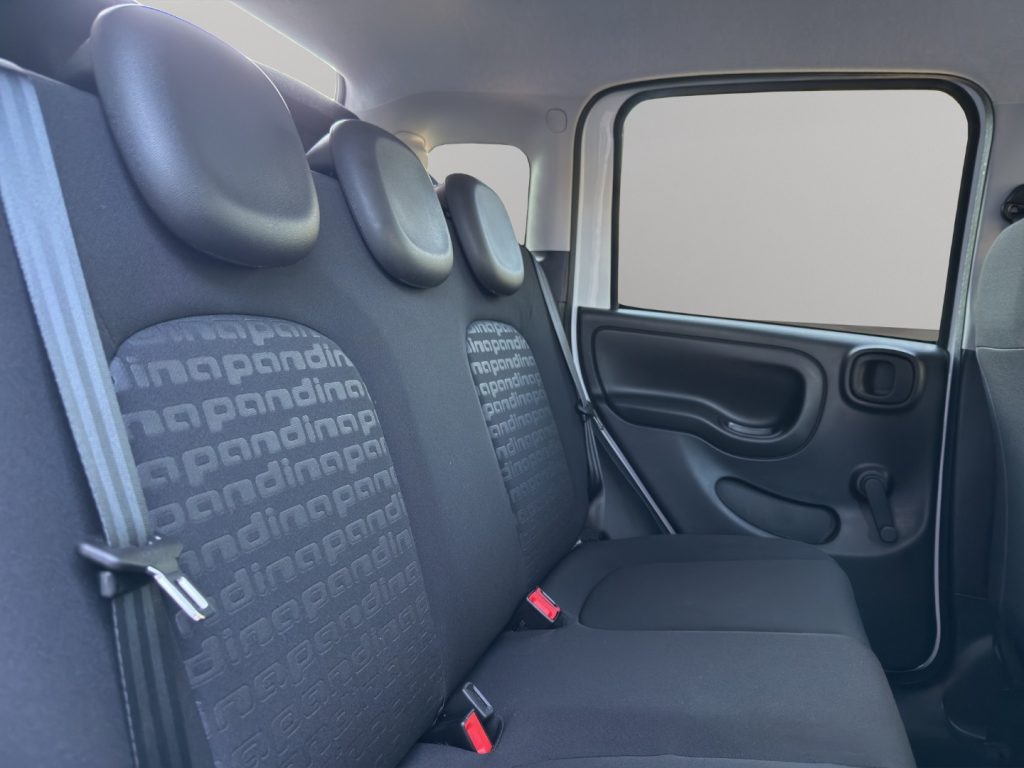 FIAT Panda Cross 1.0 FireFly S&S Hybrid - 19
