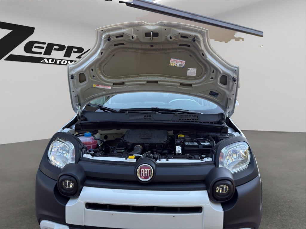 FIAT Panda Cross 1.0 FireFly S&S Hybrid - 21
