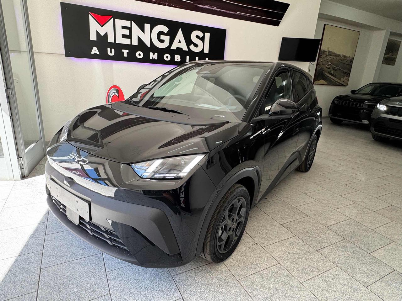 BYD Dolphin Surf COMFORT 43,2 kWh *** PROMO*** PRONTA CONSEGNA - 4