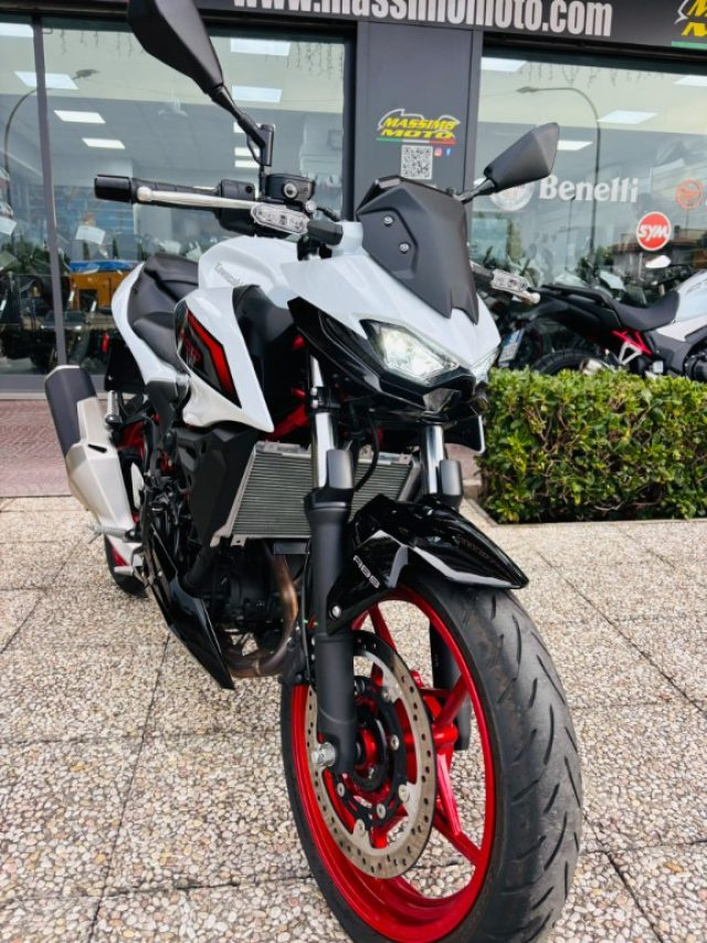 KAWASAKI Z 500 Antracite pastello