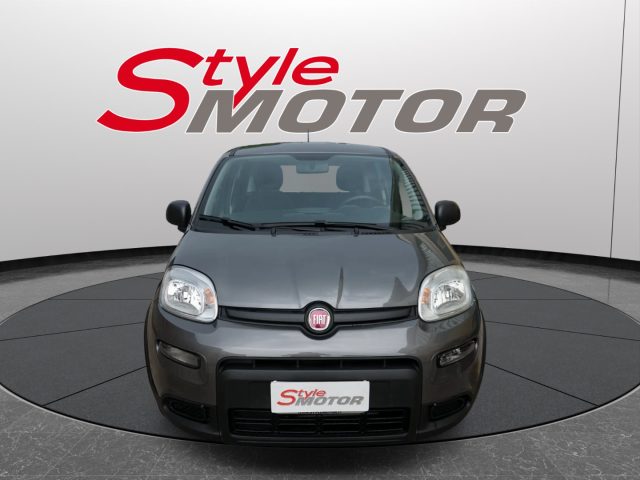 FIAT Panda 1.0 FireFly S&S Hybrid usata - Style Motor Fano