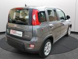 Fiat Panda 1.0 Firefly S&s Hybrid usata — interni (4/26)