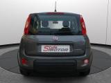 Fiat Panda 1.0 Firefly S&s Hybrid usata — foto 16 (16/26)
