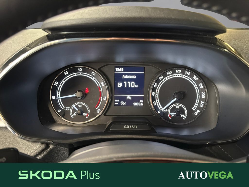 SKODA Fabia 1.0 tsi evo style 95cv - 14