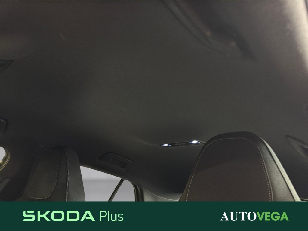 SKODA Fabia 1.0 tsi evo style 95cv - 16
