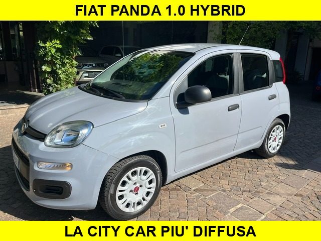 FIAT Panda Grigio pastello