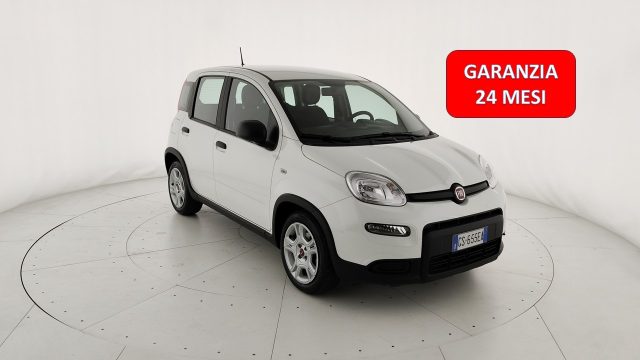 FIAT Panda Bianco pastello