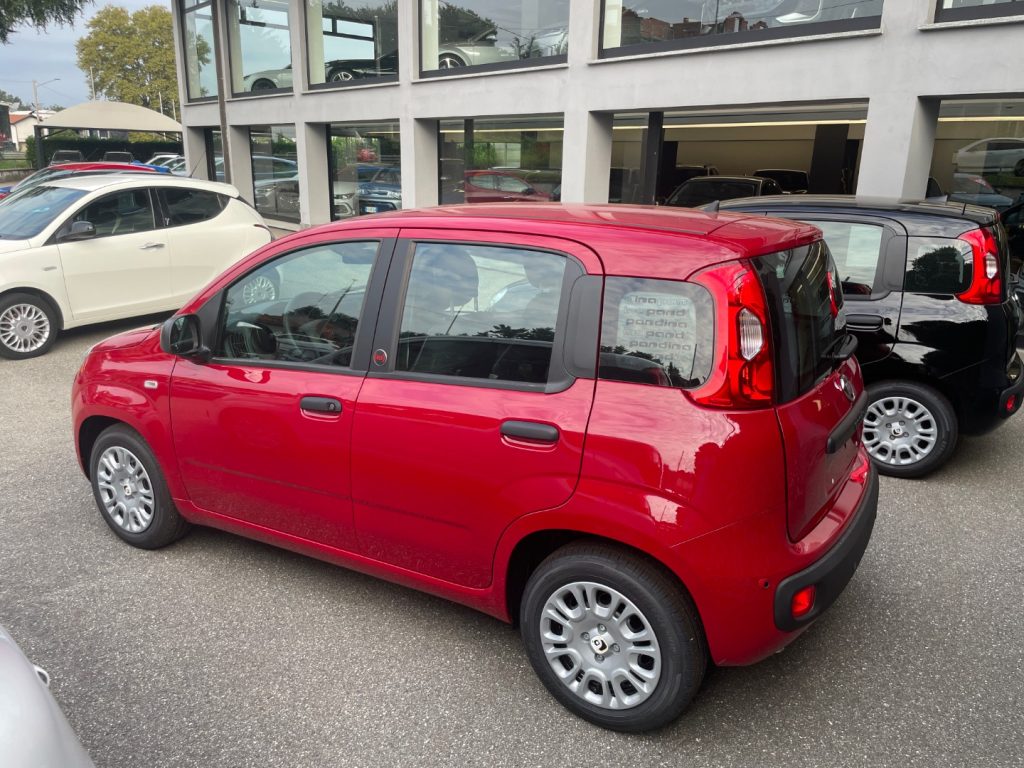 FIAT Panda 1.0 FireFly S&S Hybrid POP KM0 PROMO - 4