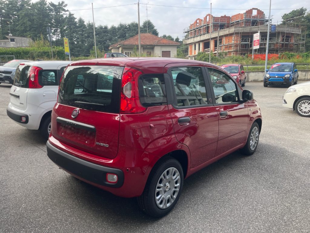 FIAT Panda 1.0 FireFly S&S Hybrid POP KM0 PROMO - 3
