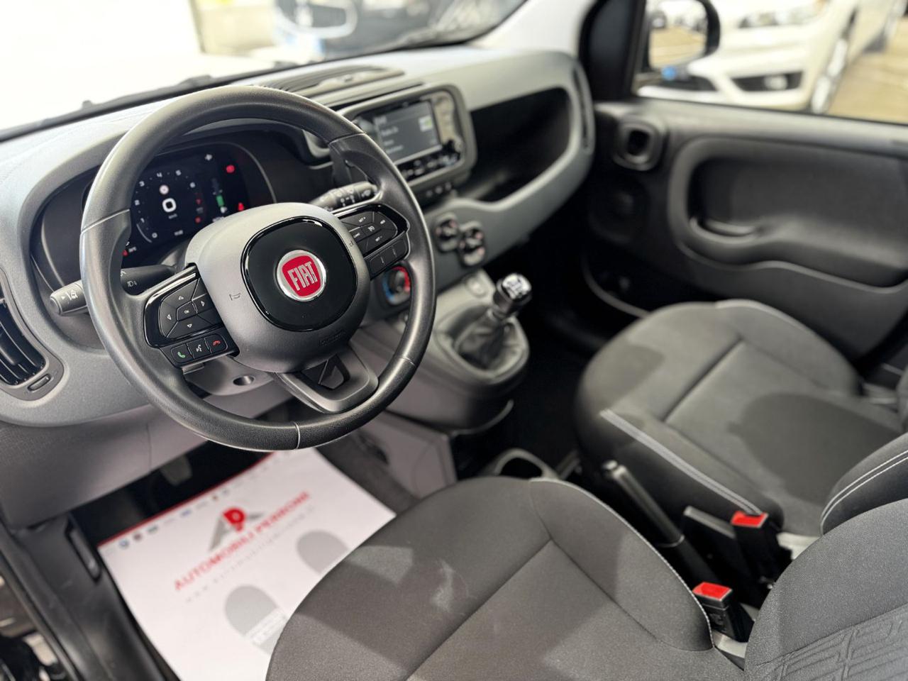 FIAT Pandina 1.0 FireFly 65cv Hybrid Icon - Solo 8.500 km - 5