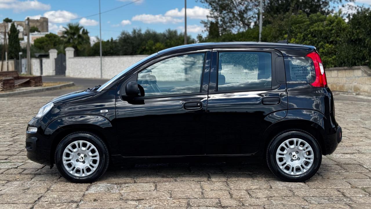 FIAT Pandina 1.0 FireFly 65cv Hybrid Icon - Solo 8.500 km - 14
