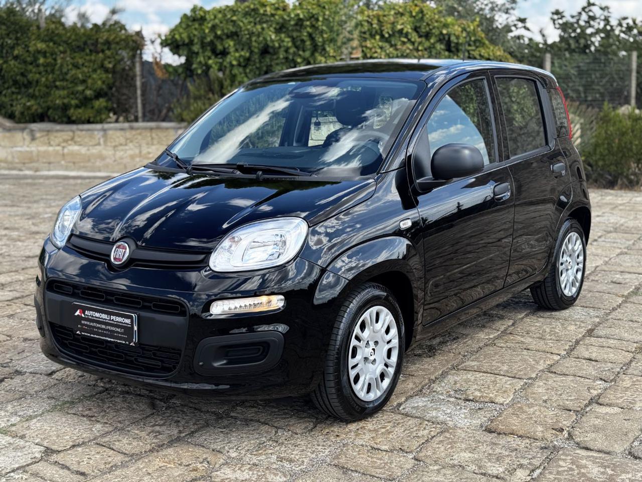 FIAT Pandina 1.0 FireFly 65cv Hybrid Icon - Solo 8.500 km - 4