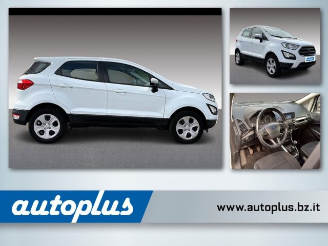 FORD EcoSport Weiß pastell