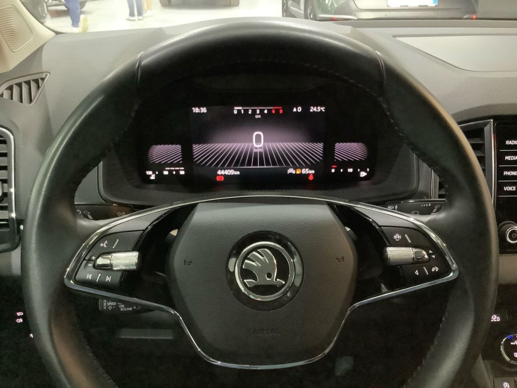 SKODA Karoq 1.5 TSI ACT Executive - 19